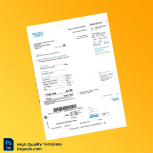 Ireland Electric Ireland Editable Electricity Bill Template in Word and PDF formats 2 page
