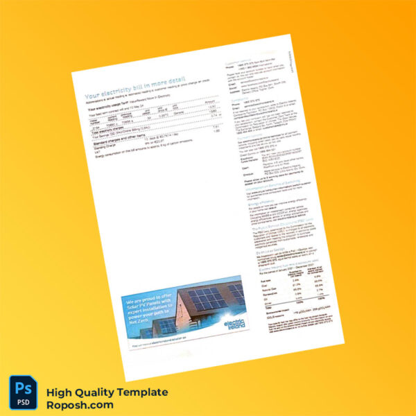 Ireland Electric Ireland Editable Electricity Bill Template in Word and PDF formats 2 page