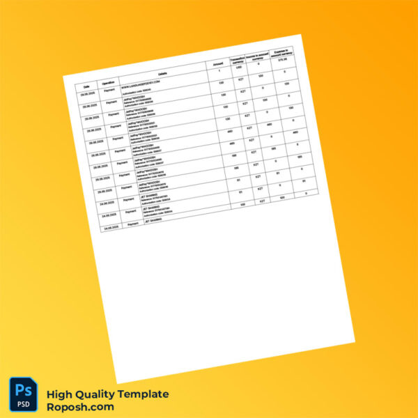 Kazakhstan Alatau City Bank Statement Template in Word and PDF formats 8 page