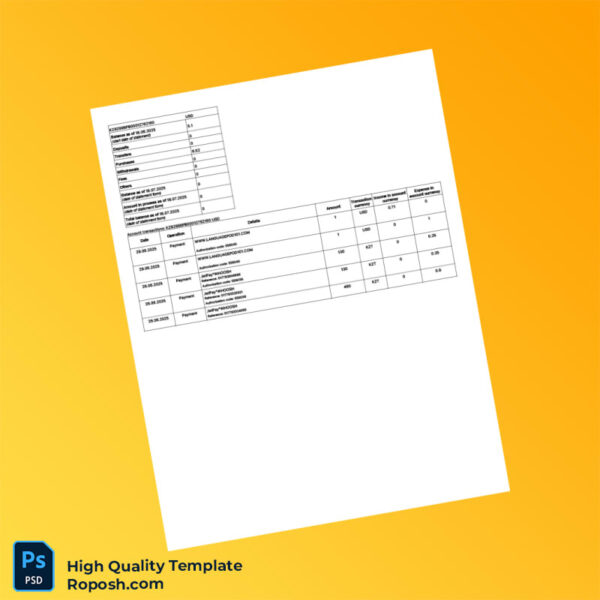 Kazakhstan Alatau City Bank Statement Template in Word and PDF formats 8 page