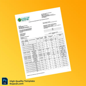 Kazakhstan Halyk Bank Statement Template in Word and PDF formats 3 page