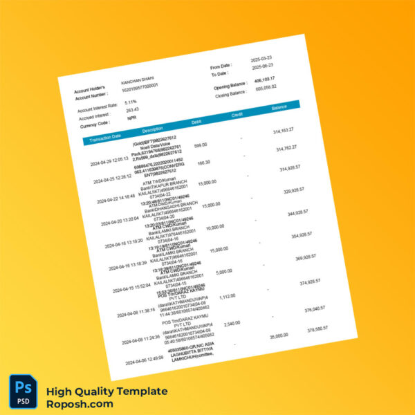 Nepal Electronic Account Statement Template in Word and PDF formats 5 page