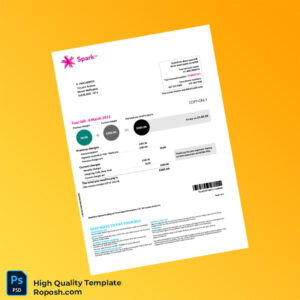 New Zealand Spark Editable Billing Summary Template in Word and PDF formats 2 page