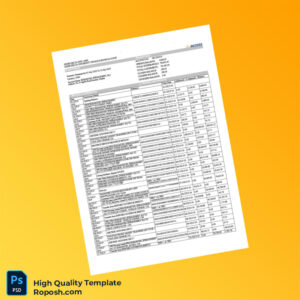 Nigeria Access Bank Statement Template in Word and PDF formats 2 page