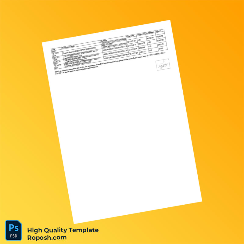Nigeria Access Bank Statement Template in Word and PDF formats 2 page Nigeria Access Bank Statement Template in Word and PDF formats 2 page