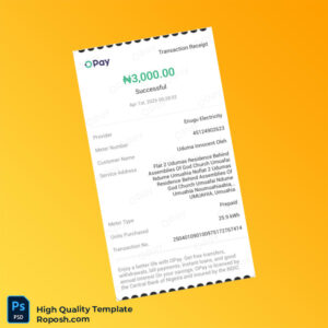 Nigeria Enugu Electricity Editable Utility Bill Template in Word and PDF formats