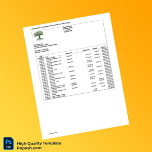 Nigeria Integrity Bank Bank Statement Template in Word and PDF formats
