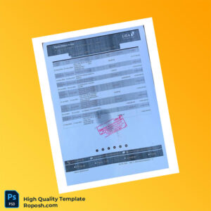 Nigeria Ngwa Bank Statement Template in Word and PDF formats 4 page