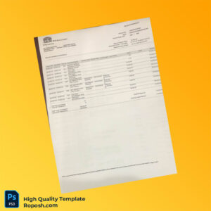 Pakistan Bank Ltd Bank Statement Template in Word and PDF formats 3 page