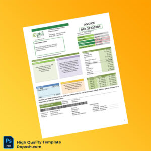 Pakistan Editable Utility Bill Template in Word and PDF formats