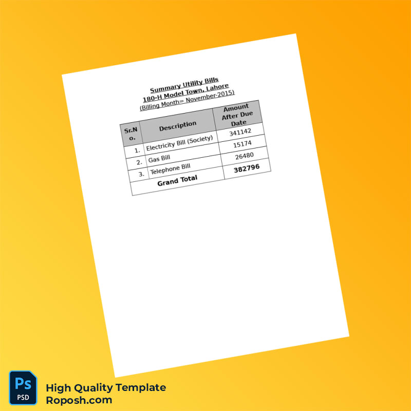 Pakistan Editable Utility Bill Template in Word and PDF formats 2 page Pakistan Editable Utility Bill Template in Word and PDF formats 2 page