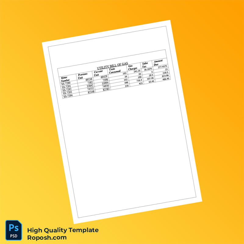 Pakistan Editable Utility Bill Template in Word and PDF formats 2 page Pakistan Editable Utility Bill Template in Word and PDF formats 2 page