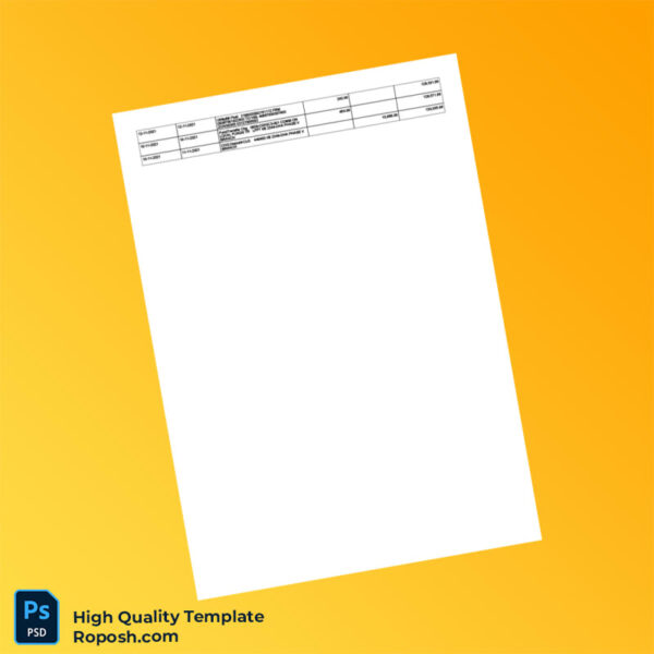 Pakistan HBL Editable Account Activity Statement Template in Word and PDF formats 2 page
