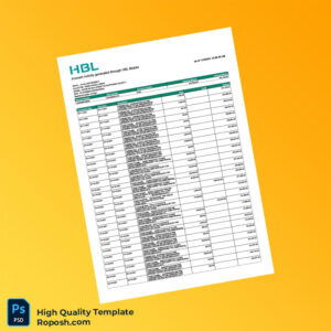 Pakistan HBL Editable Account Activity Template in Word and PDF formats 2 page