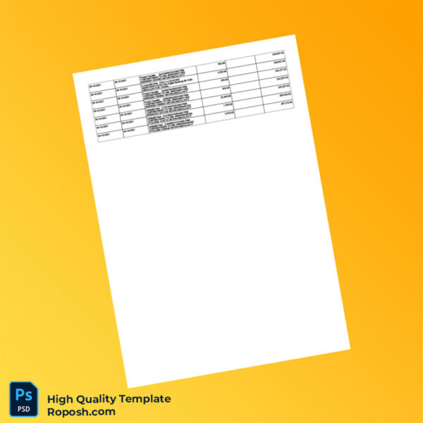 Pakistan HBL Editable Account Activity Template in Word and PDF formats 2 page