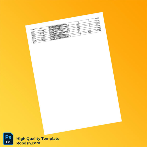 Pakistan HBL Editable Bank Statement Template in Word and PDF formats 2 page