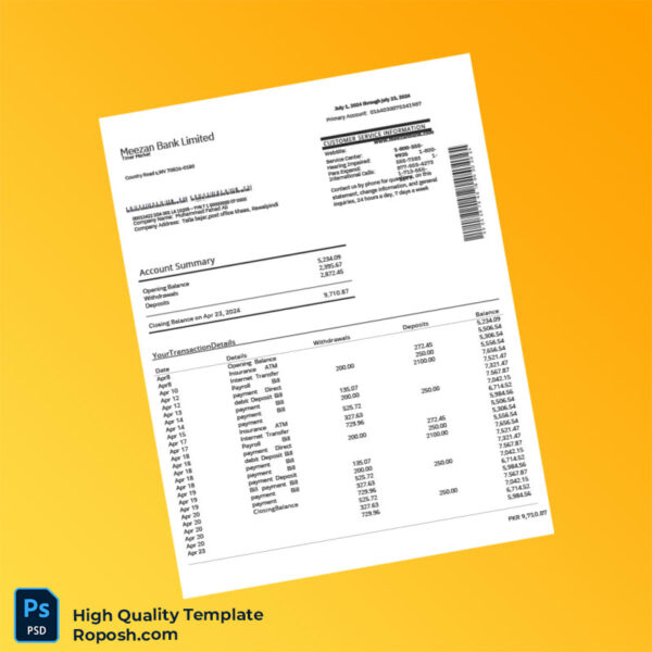 Pakistan Meezan Bank Statement Template in Word and PDF formats