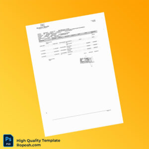 Pakistan Soneri Bank Bank Statement Template in Word and PDF formats