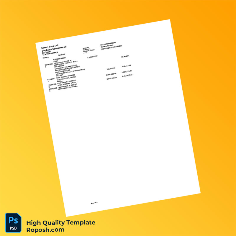 Pakistan Soneri Bank Statement Template in Word and PDF formats 3 page Pakistan Soneri Bank Statement Template in Word and PDF formats 3 page