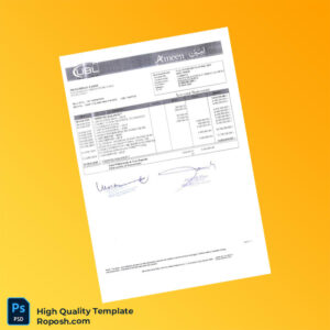 Pakistan UBL Account Statement Template in Word and PDF formats