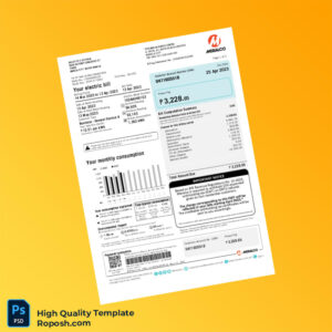 Philippines Meralco Editable Electricity Bill Template in Word and PDF formats 2 page