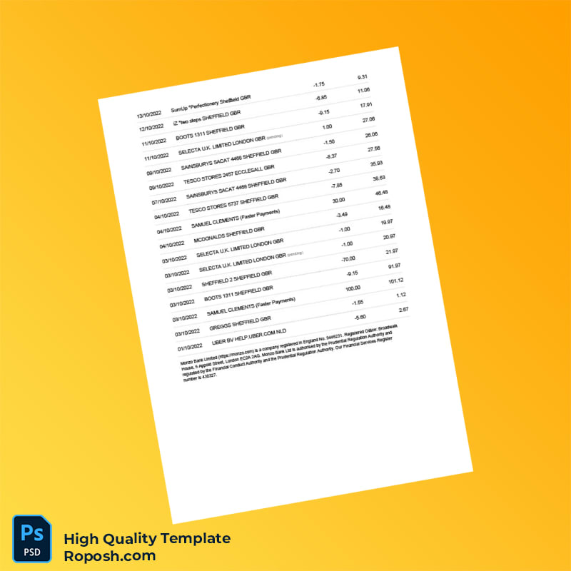 Poland Monzo Bank Statement Template in Word and PDF formats 2 page Poland Monzo Bank Statement Template in Word and PDF formats 2 page