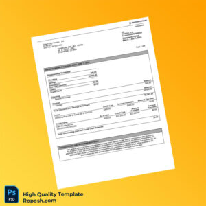 Singapore Citibank Account Summary Template in Word and PDF formats 6 page