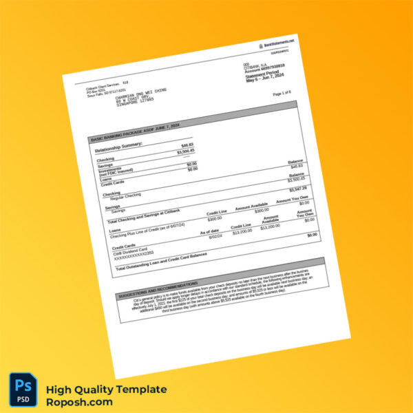 Singapore Citibank Account Summary Template in Word and PDF formats 6 page