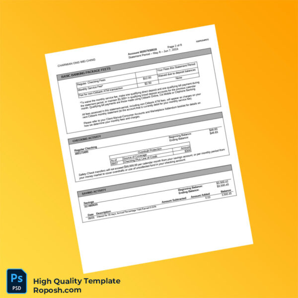 Singapore Citibank Account Summary Template in Word and PDF formats 6 page