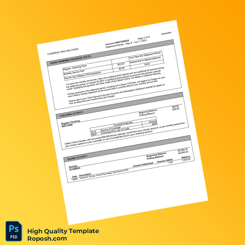 Singapore Citibank Account Summary Template in Word and PDF formats 6 page Singapore Citibank Account Summary Template in Word and PDF formats 6 page