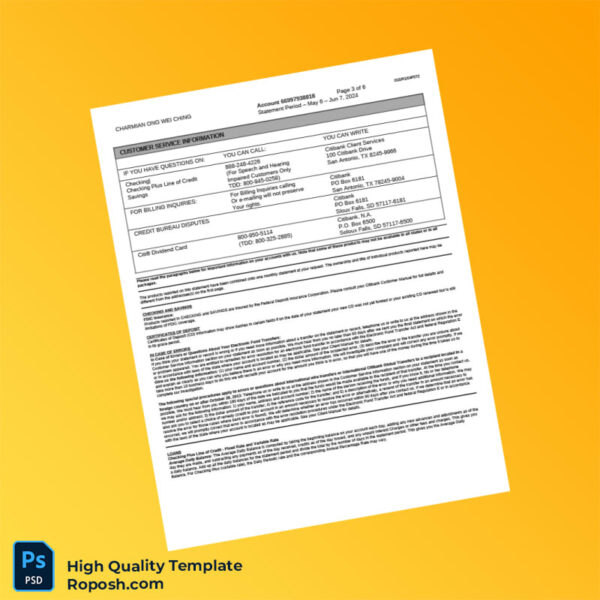 Singapore Citibank Account Summary Template in Word and PDF formats 6 page