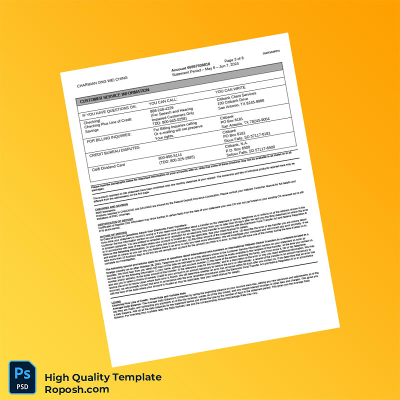 Singapore Citibank Account Summary Template in Word and PDF formats 6 page Singapore Citibank Account Summary Template in Word and PDF formats 6 page