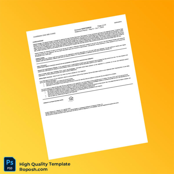 Singapore Citibank Account Summary Template in Word and PDF formats 6 page