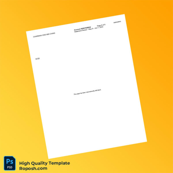Singapore Citibank Account Summary Template in Word and PDF formats 6 page