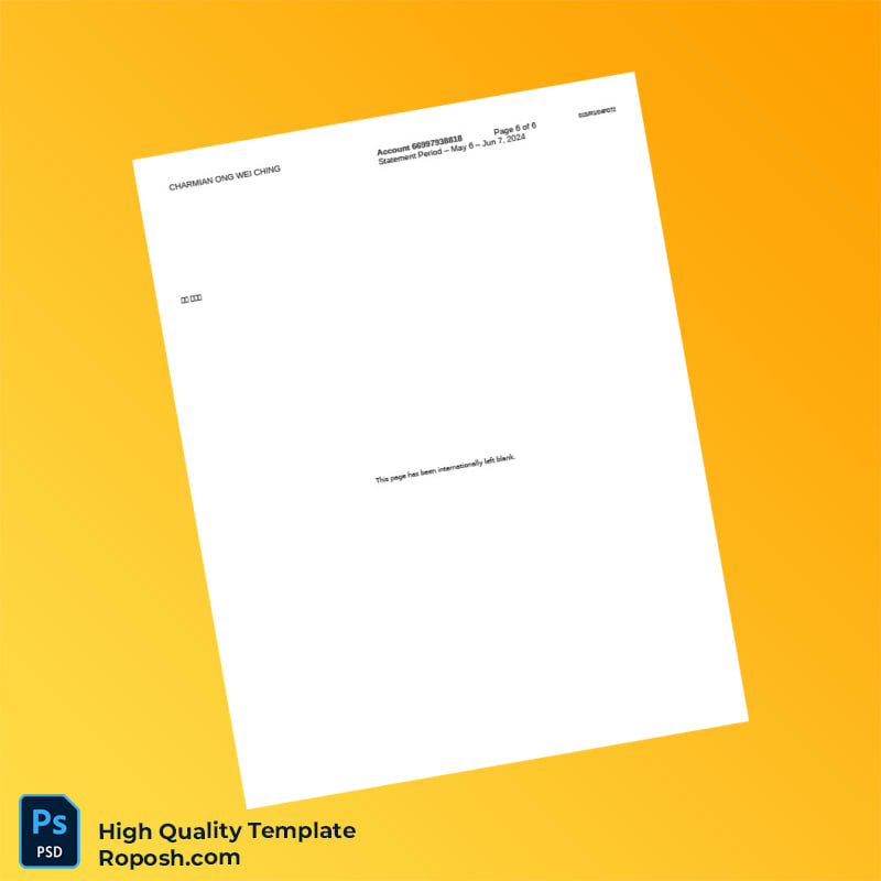 Singapore Citibank Account Summary Template in Word and PDF formats 6 page Singapore Citibank Account Summary Template in Word and PDF formats 6 page