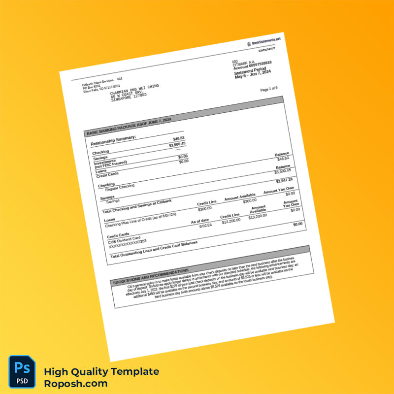 Singapore Citibank Account Summary Template in Word and PDF formats 6 page Singapore Citibank Account Summary Template in Word and PDF formats 6 page