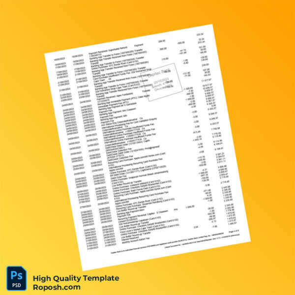 South Africa Capitec Bank Savings Statement Template in Word and PDF formats 8 page