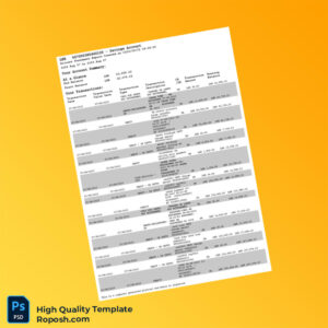 Sri Lanka Editable Bank Account Statement Template in Word and PDF formats 2 page Sri Lanka Editable Bank Account Statement Template in Word and PDF formats 2 page