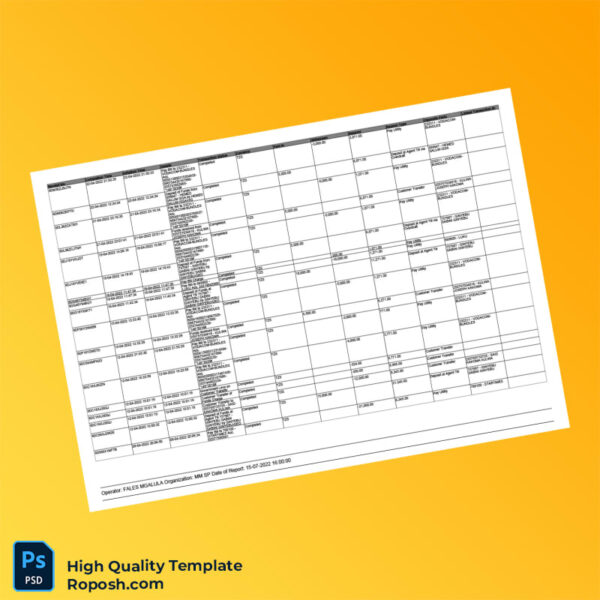 Tanzania Editable Transaction Summary Template in Word and PDF formats 4 page