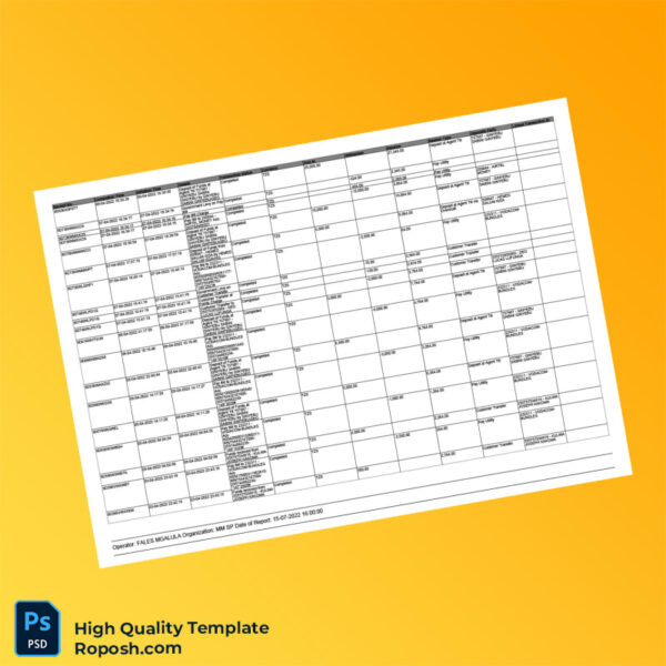 Tanzania Editable Transaction Summary Template in Word and PDF formats 4 page