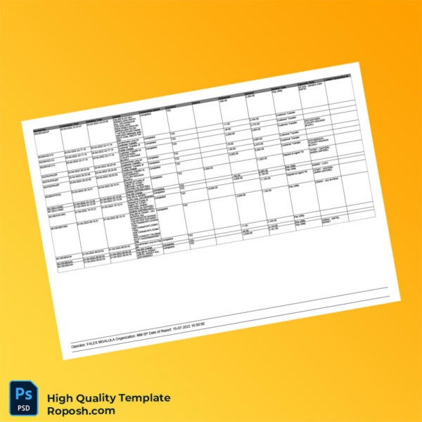Tanzania Editable Transaction Summary Template in Word and PDF formats 4 page