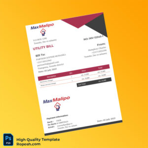 Tanzania MaxMalipo Editable Utility Bill Template in Word and PDF formats