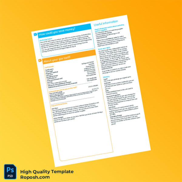 UK British Gas Editable Annual Gas Summary Template in Word and PDF formats 4 page