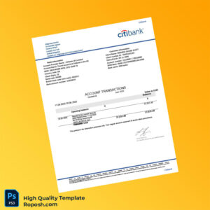 UK Citibank Bank Statement Template in Word and PDF formats