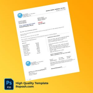 USA City of Chicago Editable Utility Bill Template in Word and PDF formats