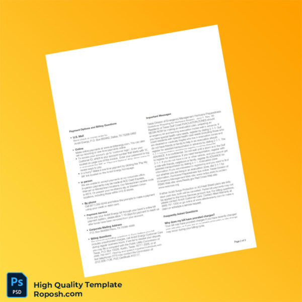 USA Ambit Energy Editable Utility Bill Template in Word and PDF formats 3 page