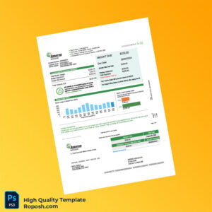 USA Ameren Editable Utility Bill Template in Word and PDF formats 4 page