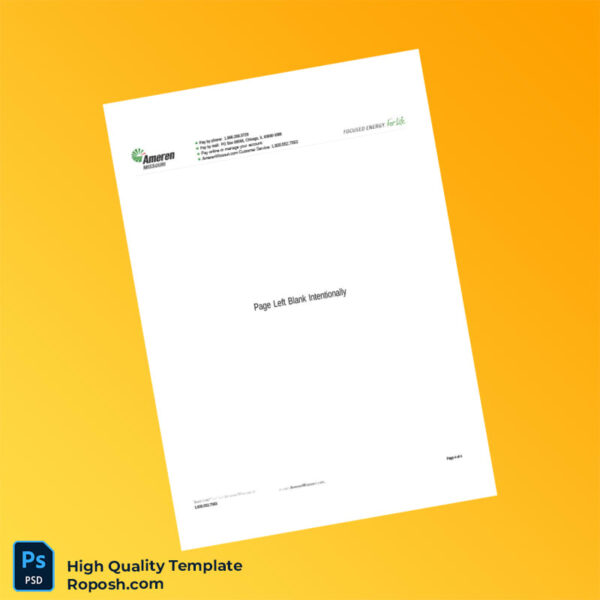 USA Ameren Editable Utility Bill Template in Word and PDF formats 4 page