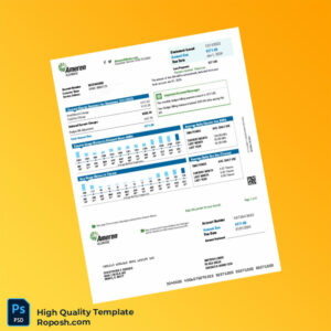 USA Ameren Illinois Editable Utility Bill Template in Word and PDF formats 4 page