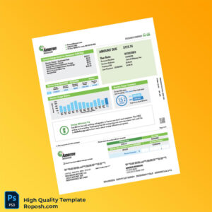 USA Ameren Missouri Editable Electricity Bill Template in Word and PDF formats 2 page